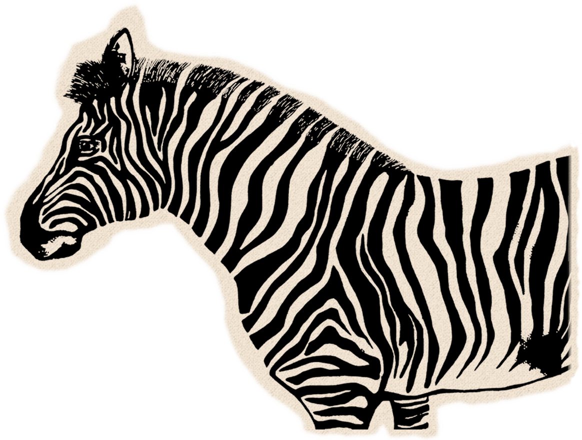 A drawing of a zebra.